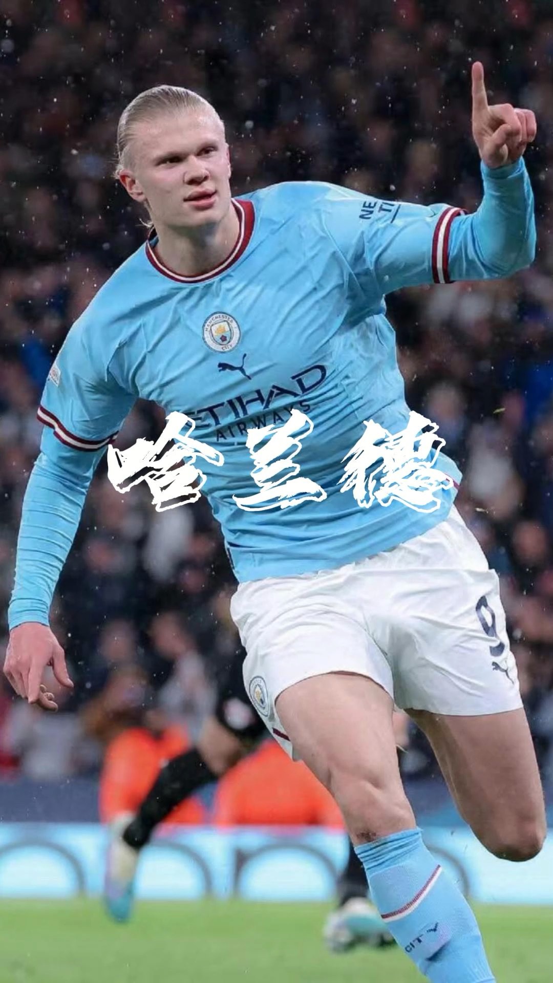 张伯霖谈摇篮舞庆祝：是庆祝我家两只小狗出生（张伯霖回应摇篮舞：为庆祝家中两只小狗诞生）